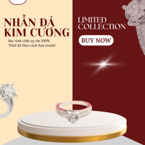 Nhẫn bạc nữ đẹp đính đá, nhẫn nữ bạc 925 cao cấp NN0165 - Trang Sức Bạc